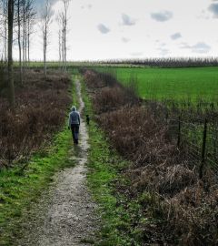 Wandelen